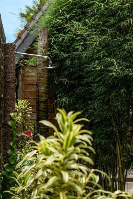 The Padang Villa Jungle Escape 5 Mins Drive From Uluwatu'S Beaches Zewnętrze zdjęcie